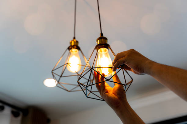 Best Outdoor Lighting Installation  in Seville, FL